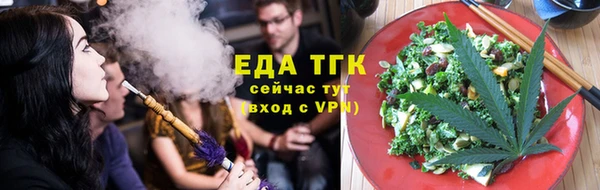 индика Нягань
