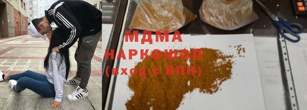 индика Нягань