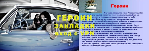 индика Нягань