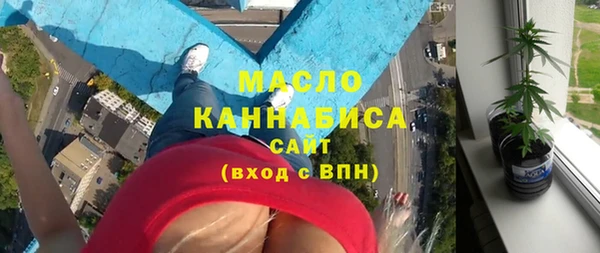 индика Нягань