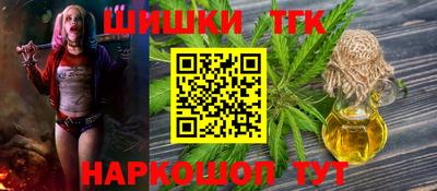 мдпв Гусев