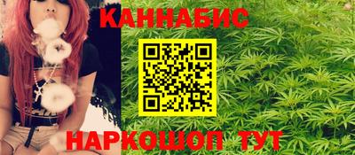 мдпв Гусев