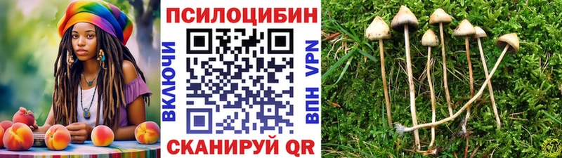 хочу   Мегион  Галлюциногенные грибы MAGIC MUSHROOMS 