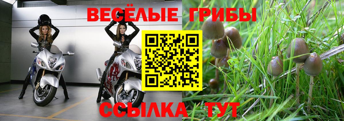 Галлюциногенные грибы Cubensis Мегион
